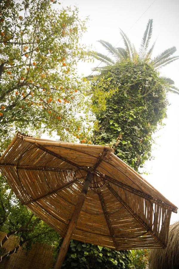 Les Palmes - D'hotes Bed & Breakfast 3*